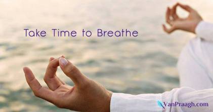 11898570_10153259152099125_4860794177799030450_n