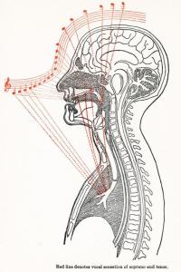 tumblr_n8o4994TSp1qjq1k3o1_500